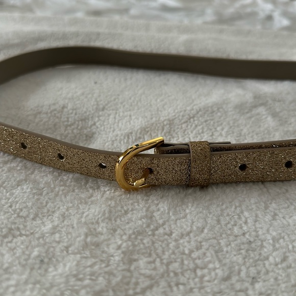 J. Crew Accessories - J Crew gold sparkly belt - Brand new L/XL